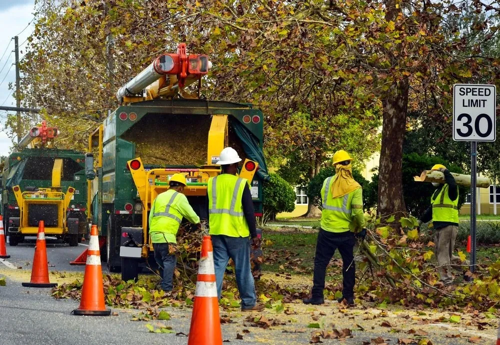 Tree crew working with traffic control on a residential street