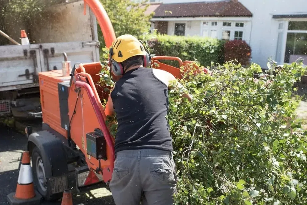 Branches being fed through a wood chipper on site